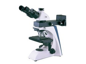 �����@΢�RMIT300