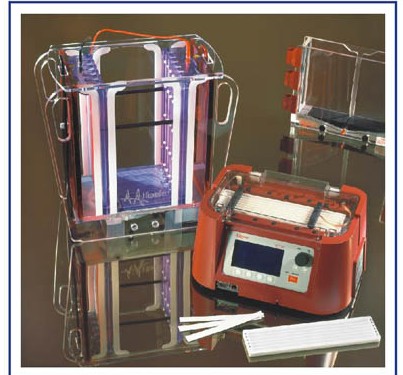 2D�p���Ӿϵ�y