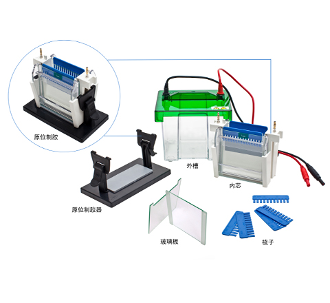 SCZ2+�ʹ�ֱ�Ӿ��