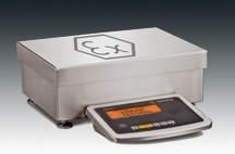 Signum EX�������P䓹��I(y��)��