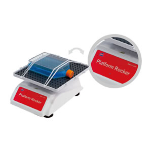 �[��С��NS-04��NS-05U