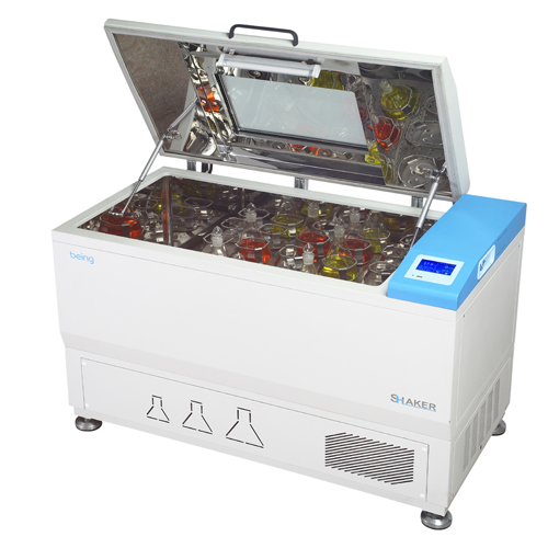 �����ʎ��BSI-21