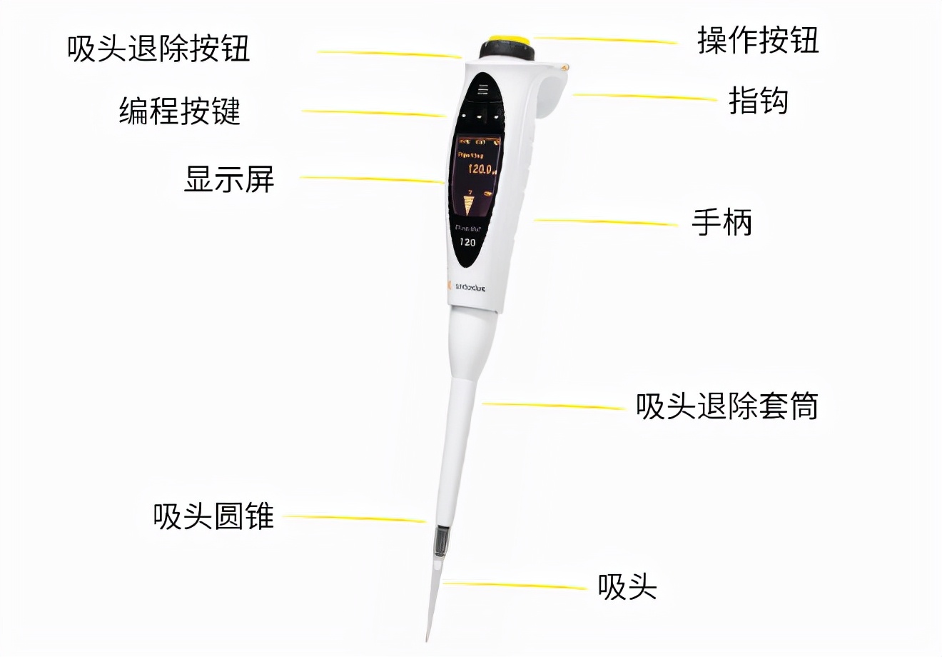 ِ����˹늄�(d��ng)��Һ��